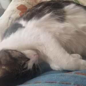 Meet your Posher, Christine